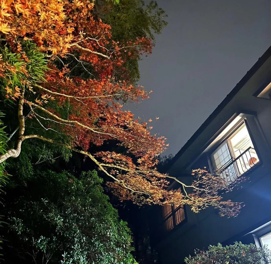 Fuji-Hakone Guest House 2*, Hakone
