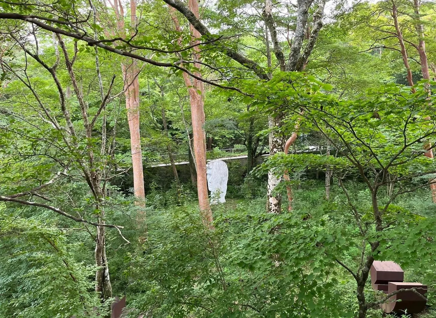 富士箱根ゲストハウス ゲストハウス 箱根町
