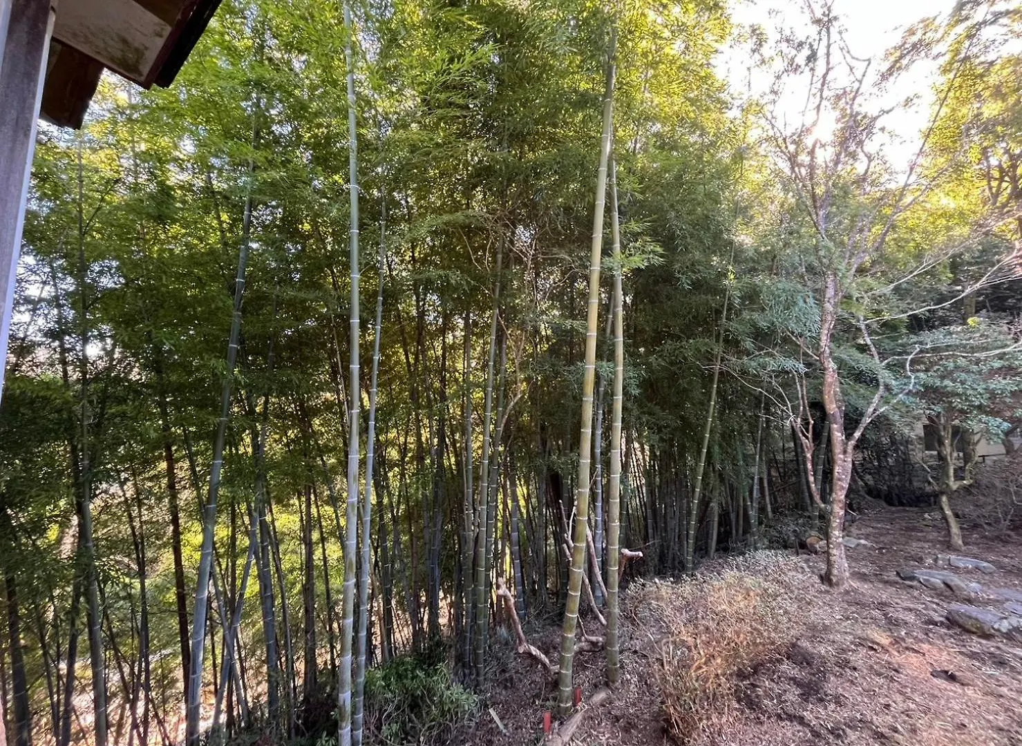 富士箱根ゲストハウス 日本