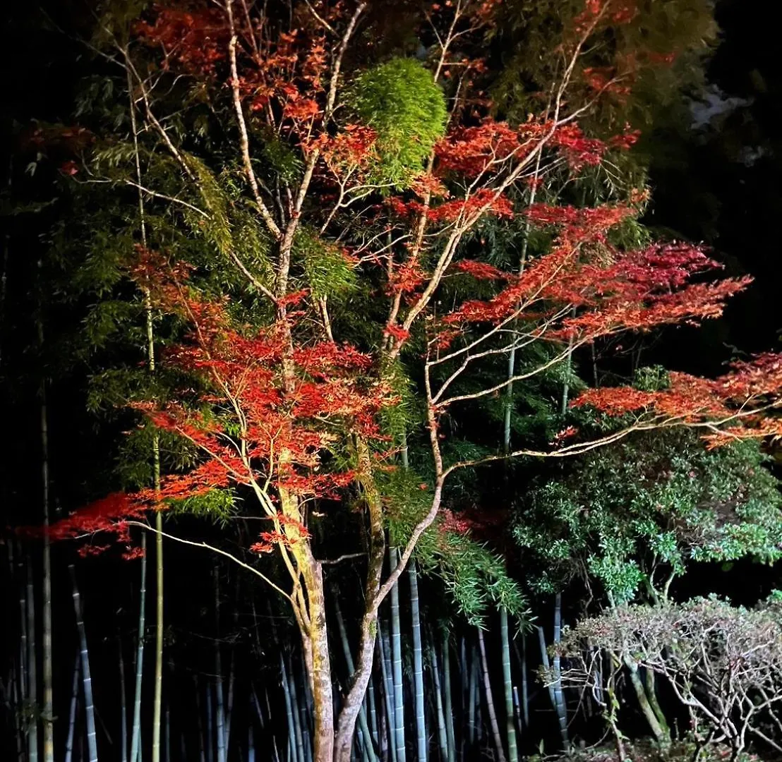 富士箱根ゲストハウス ゲストハウス 箱根町