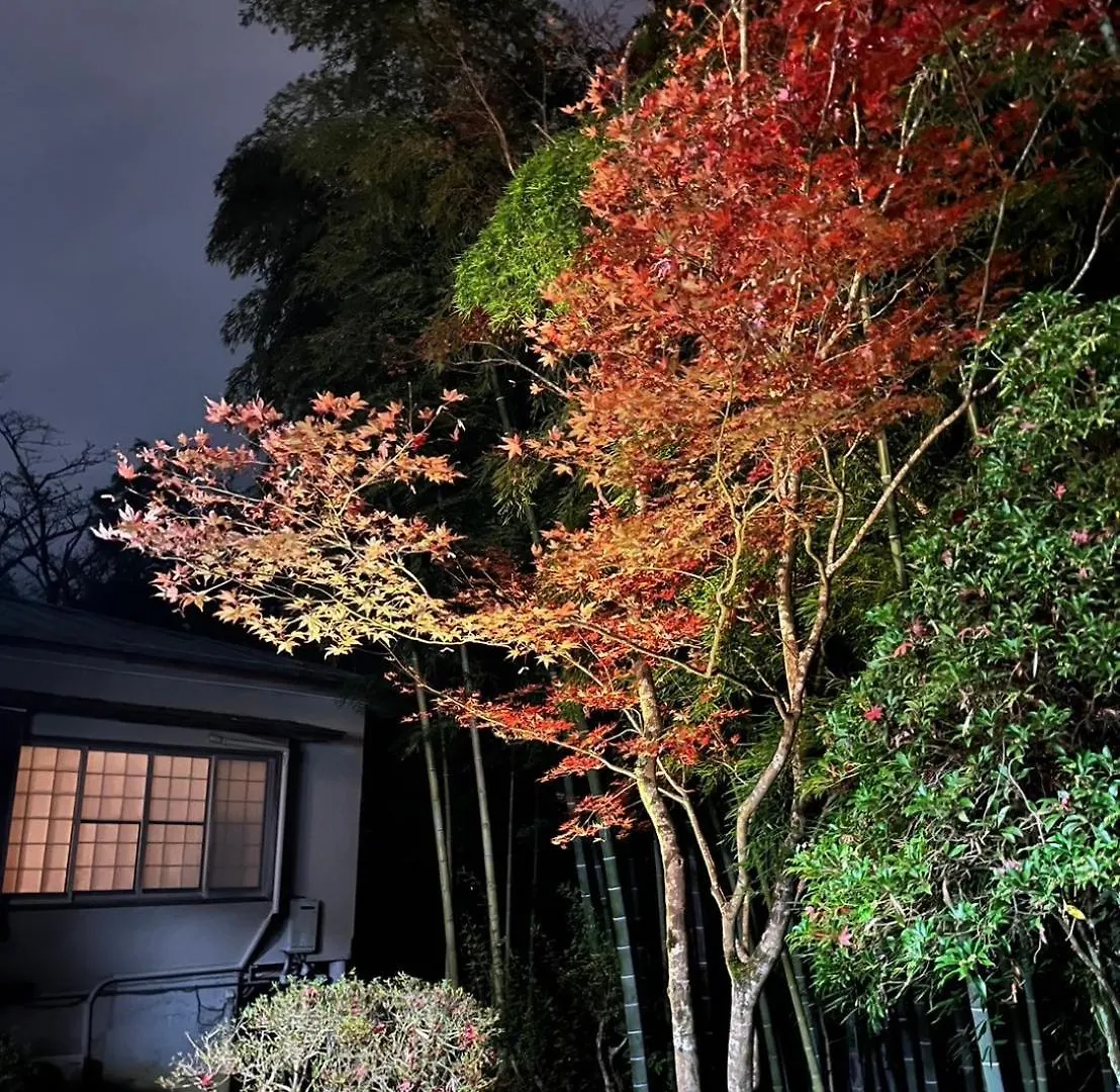 Fuji-Hakone Guest House